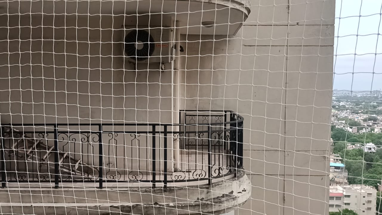 Why Are Anti-Bird Nets Necessary?